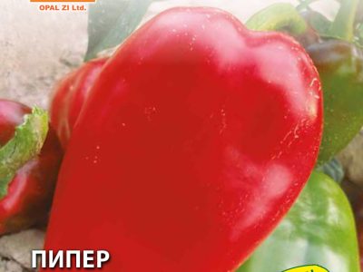 ПИПЕР АМФОРА  1 гр.