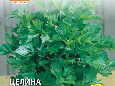 ЦЕЛИНА ЛИСТНА 5 гр.
