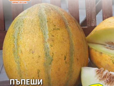 ПЪПЕШИ ДЕСЕРТЕН 5  3 гр.