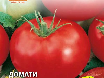Домати АЧЕ 1 гр.
