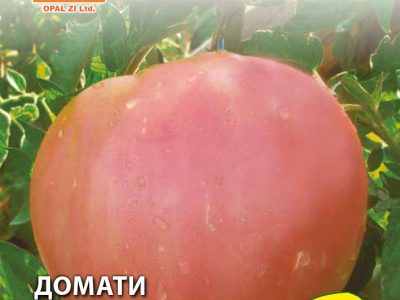 Домати БИВОЛСКО СЪРЦЕ РОЗОВО 1 гр.