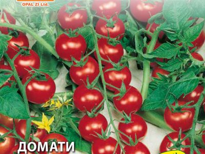 Домати ЧЕРИ 0,2 гр.