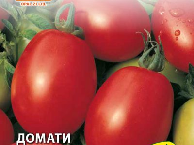 Домати РИО ГРАНДЕ 1 гр.