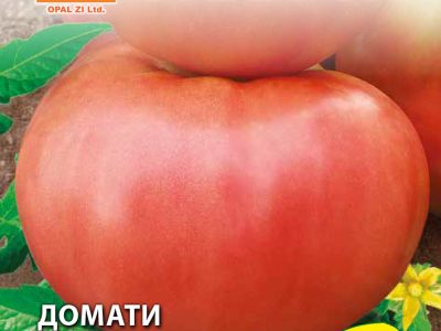 Домати РОЗОВА МАГИЯ