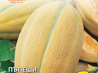 ПЪПЕШИ ХИБРИД 1  1 гр.