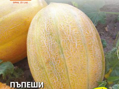 ПЪПЕШИ ПОБЕДИТЕЛ