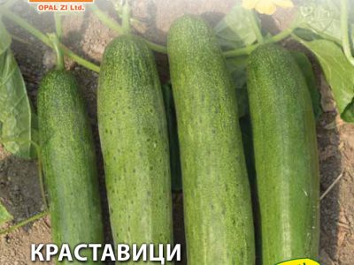 КРАСТАВИЦИ КРОКОДИЛКИ 1 гр.