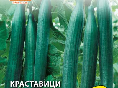 КРАСТАВИЦИ САНДРА