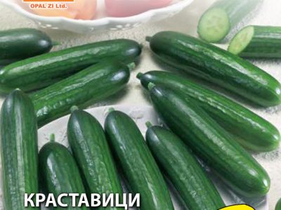КРАСТАВИЦИ ТИМОР 1 гр.
