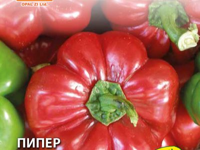 ПИПЕР БЪЛГАРСКИ РАТУНД 2 гр.