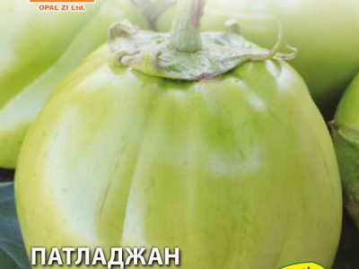 ПАТЛАДЖАН ЗЕЛЕН 1 гр.