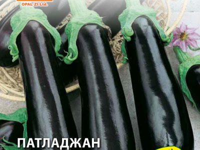 ПАТЛАДЖАН ЛОНГ ПЪРПЪЛ 1 гр.