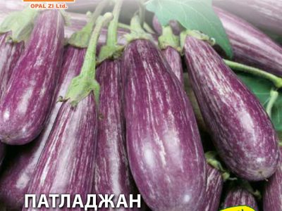 ПАТЛАДЖАН ТСАКОНИКИ 1 гр.