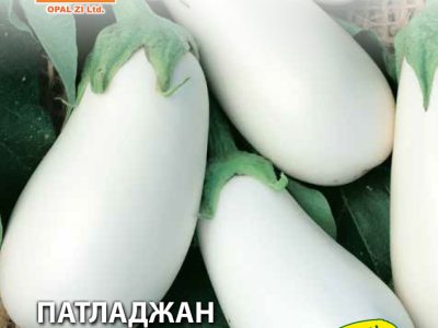 ПАТЛАДЖАН БЯЛ 1 гр.