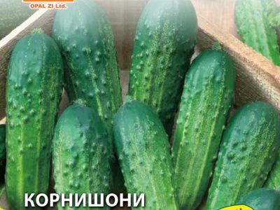 КОРНИШОНИ ДЕЛИКАТЕС 2 гр.