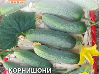 КОРНИШОНИ ФАСОН 1 гр.