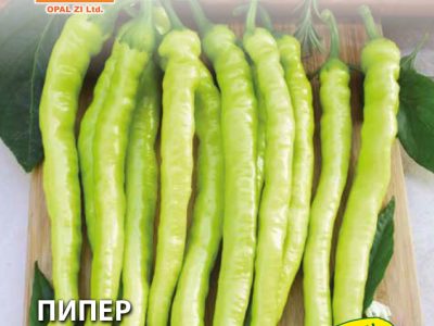 ПИПЕР ЧОРБАДЖИЙСКИ  2 гр.