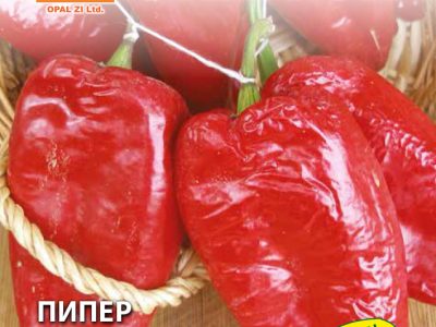 ПИПЕР СЕЛСКИ ЗА СУШЕНЕ  2 гр.