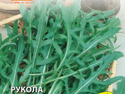 РУКОЛА ДИВА  1 гр.