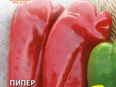 ПИПЕР ХИСАРСКА КАПИЯ   2 гр.