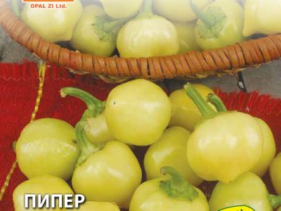 ПИПЕР ЛЮТИ КАМБИЧКИ 2 гр.