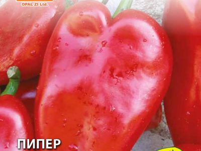 ПИПЕР ПЛОВДИВСКА КАПИЯ 5 гр.