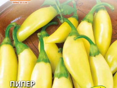 ПИПЕР РИБКИ АПЕТИТКИ 2 гр.