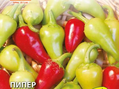 ПИПЕР БЯЛА ШИПКА 2 гр.