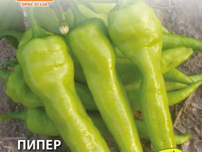 ПИПЕР СИВРИЯ 2 гр.