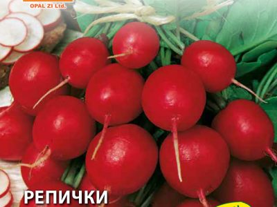 РЕПИЧКИ САКСА 5 гр.