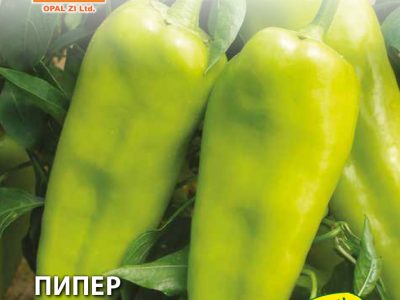 ПИПЕР ЗЛАТЕН МЕДАЛ 2 гр.
