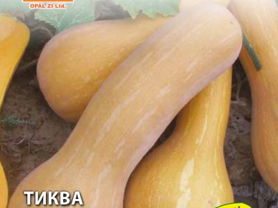 ТИКВА МУСКАТНА 5 гр.