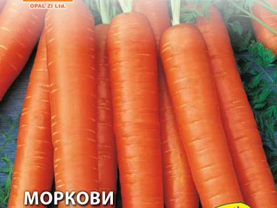МОРКОВИ НАНТЕС