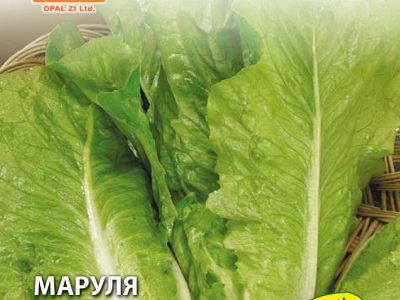 МАРУЛЯ ПАРИЖ 2 гр.