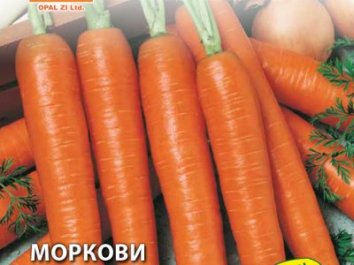 МОРКОВИ ТУШОН