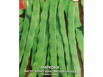 ФАСУЛ МАРКОНИ 40 гр.