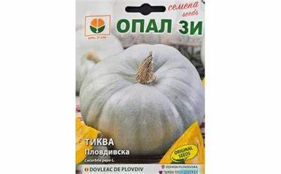 ТИКВА ПЛОВДИВСКА 5 гр.